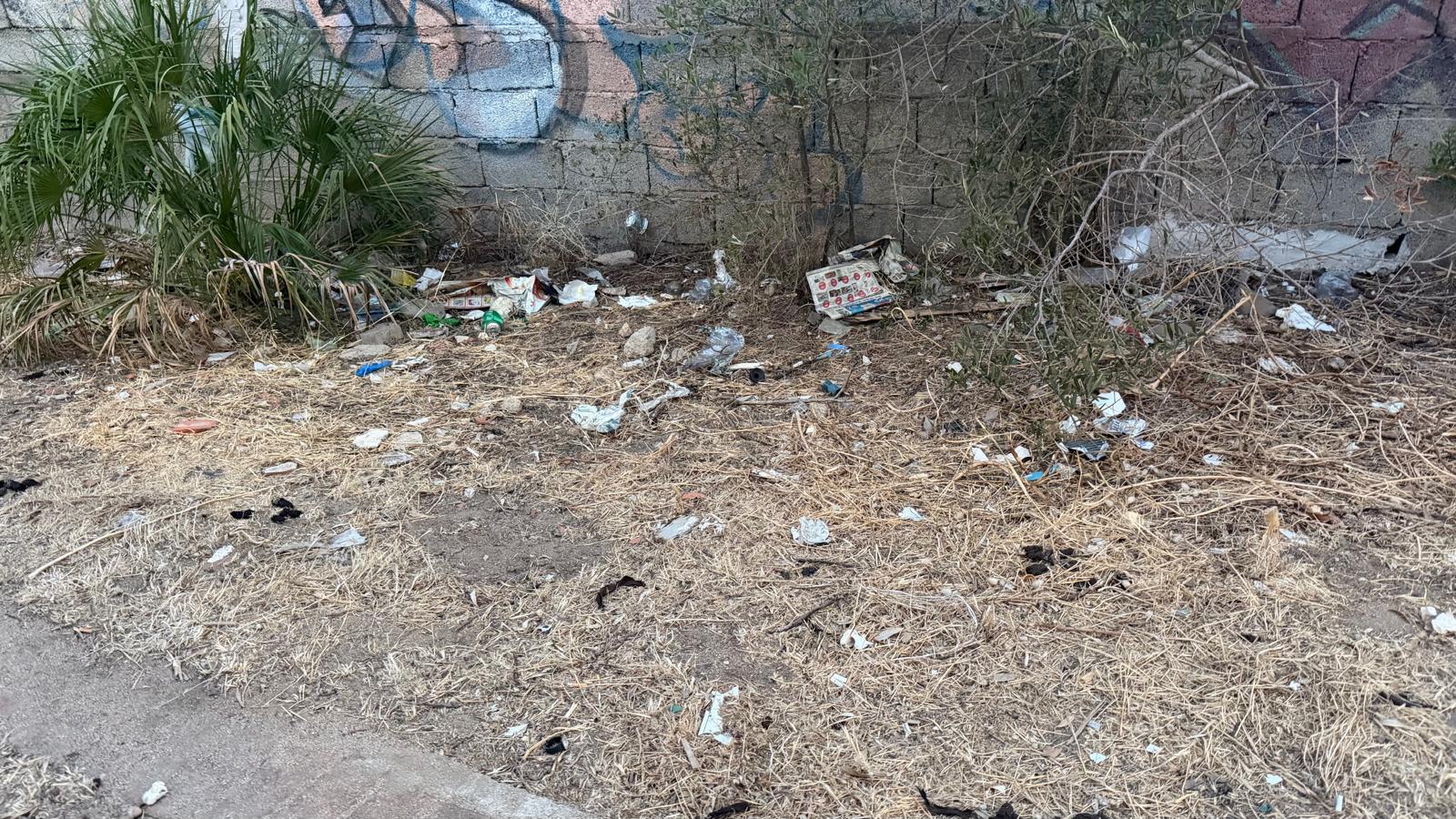 Olbia, in via Antonio Labriola un bagno abusivo per cani 