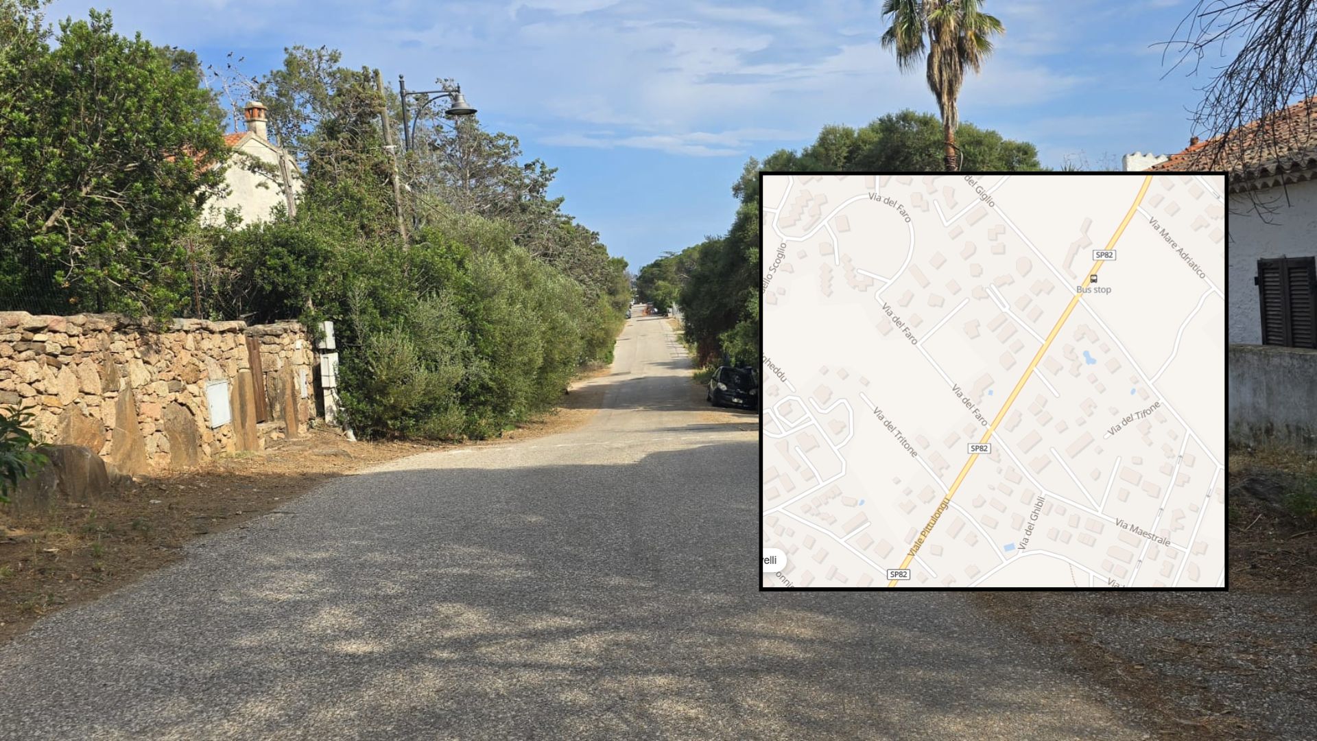 Pittulongu, Via del Faro: una lunga strada senza segnaletica dove gli animali vengono investiti