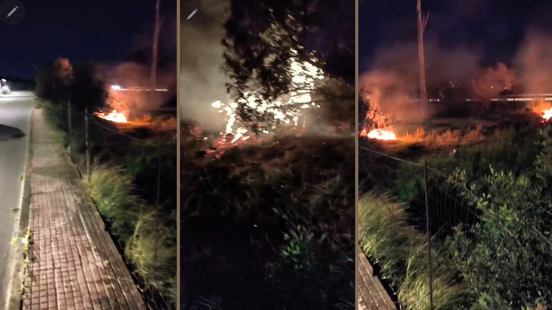 Vaccileddi, incendio lungo la Statale 125: fiamme tra le ramaglie abbandonate