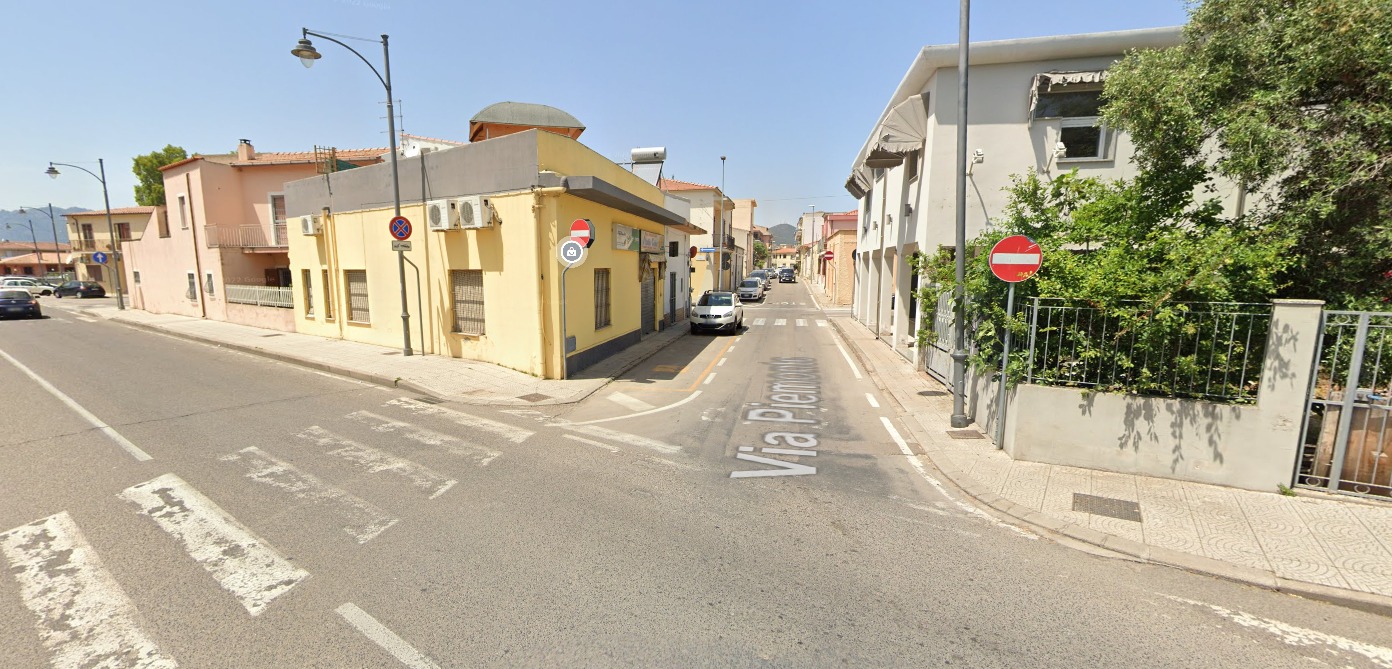 Olbia, terrore in zona via Piemonte: molosso uccide cani e gatti