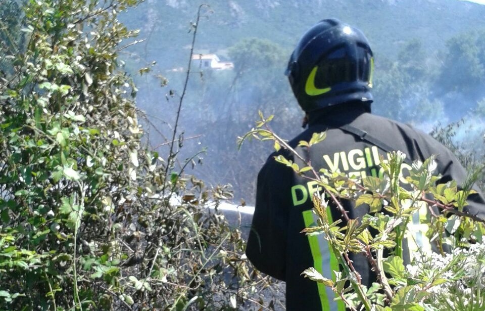 Olbia, pulizia dei terreni: l'ordinanza antincendi