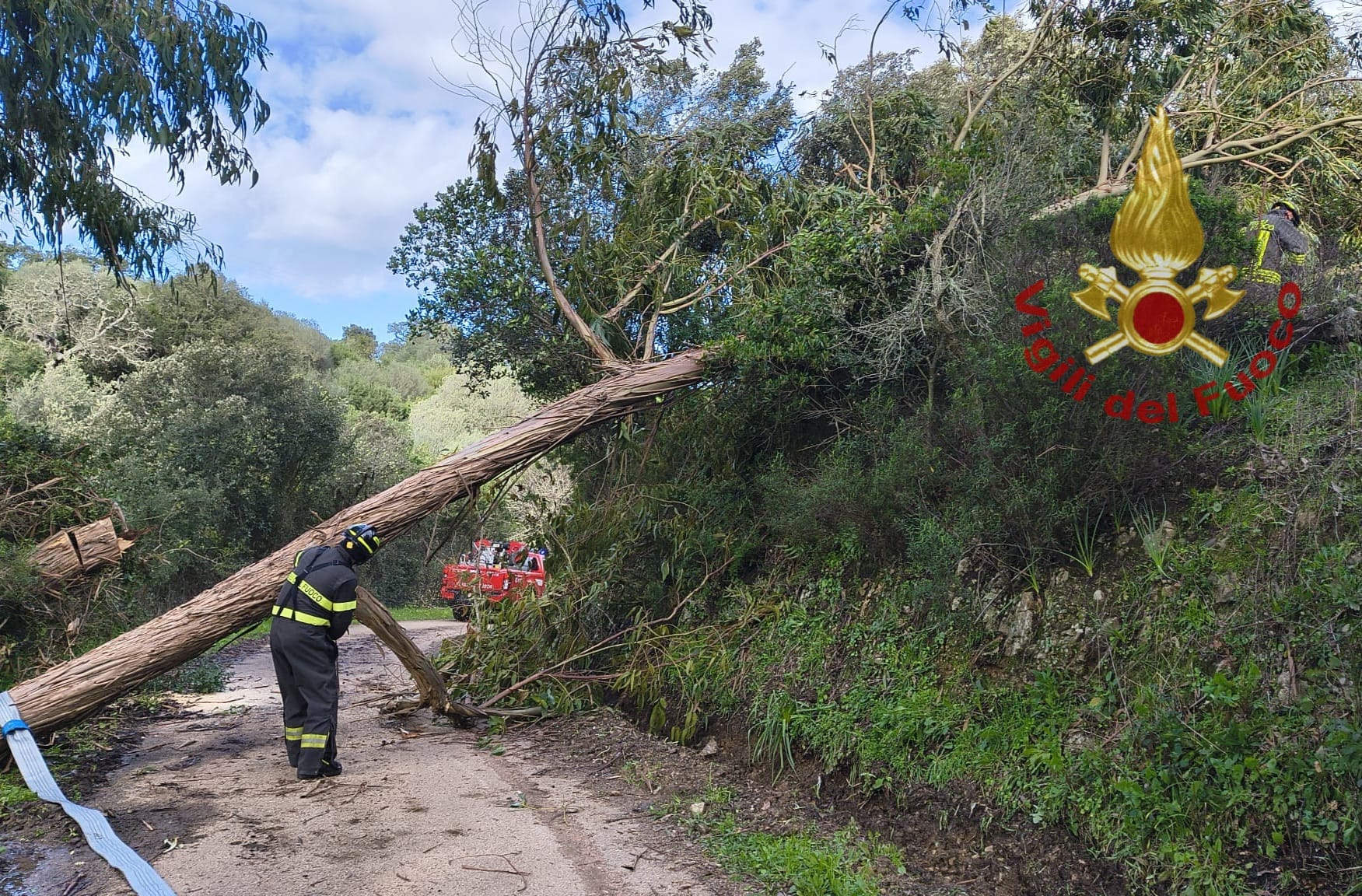 Vento fortissimo sul nord Sardegna: oltre cento interventi dei Vigili del Fuoco, Gallura tra le zone più colpite