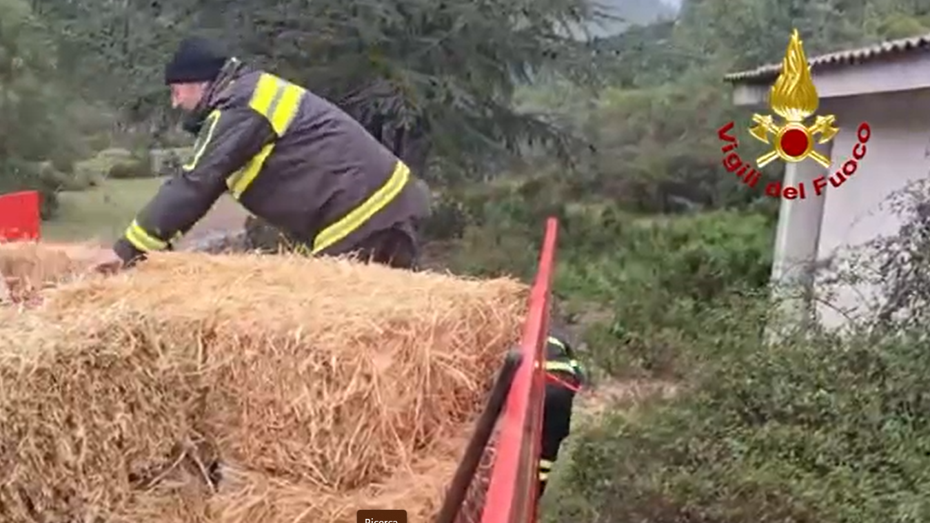 Ancora maltempo nel Nuorese: pastori soccorsi dai vigili del fuoco