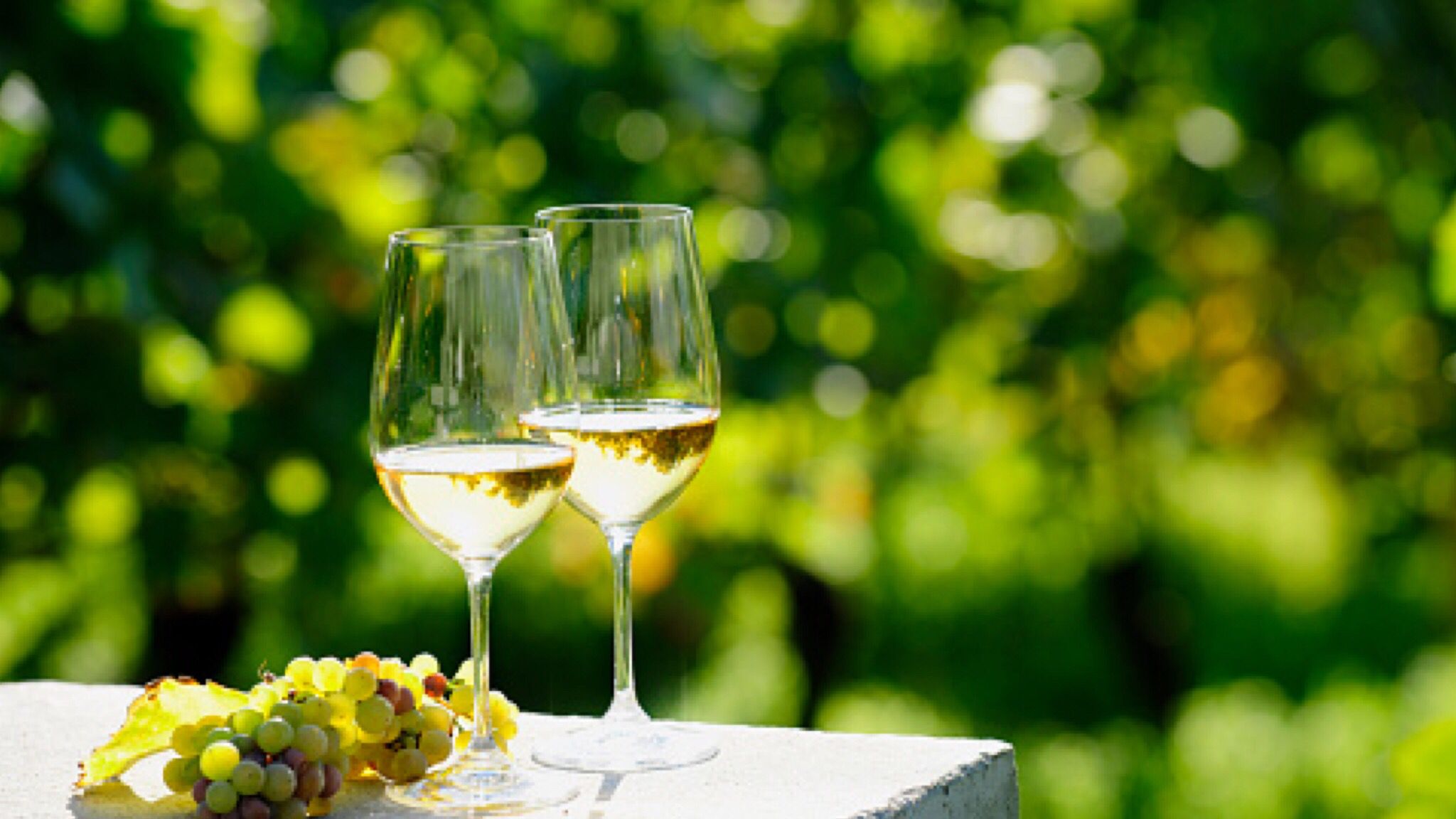 Olbia, Benvenuto Vermentino: ecco il ricco calendario di eventi