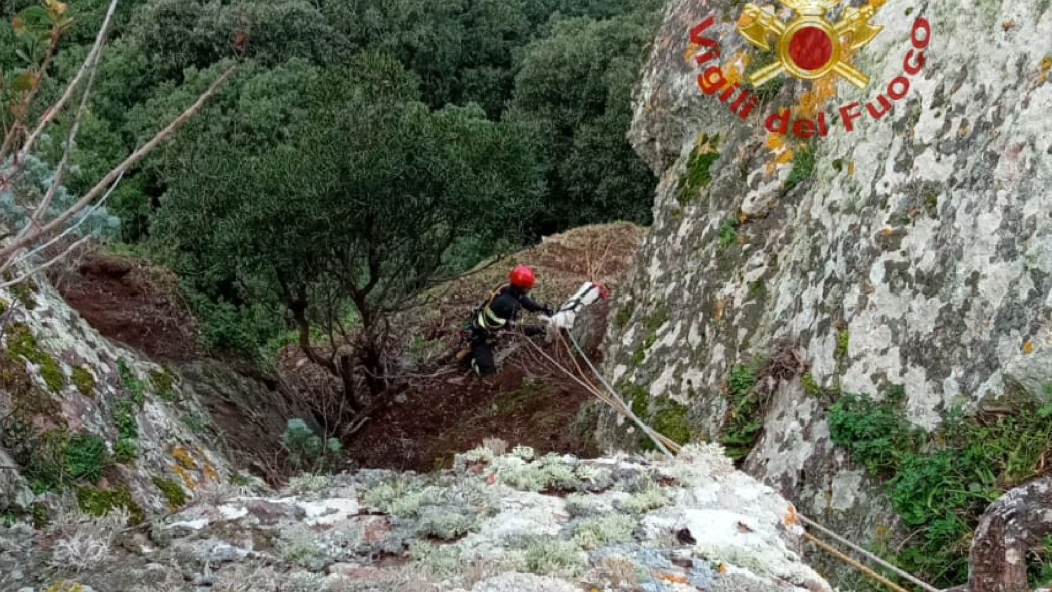 Nord Sardegna, capra precipita da un dirupo: tratta in salvo