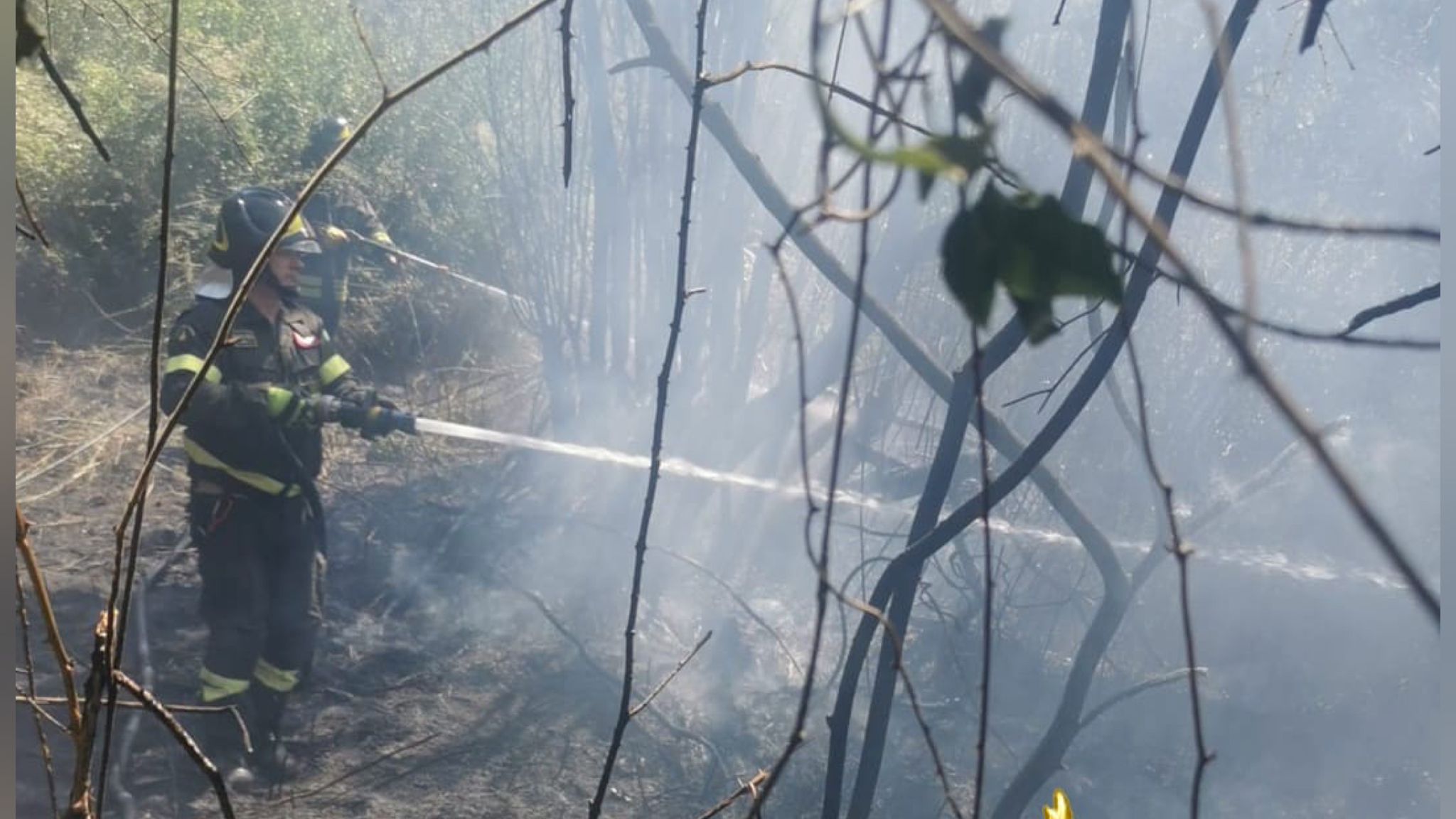 Arzachena, fiamme sulla sp 59: vigili del fuoco in azione