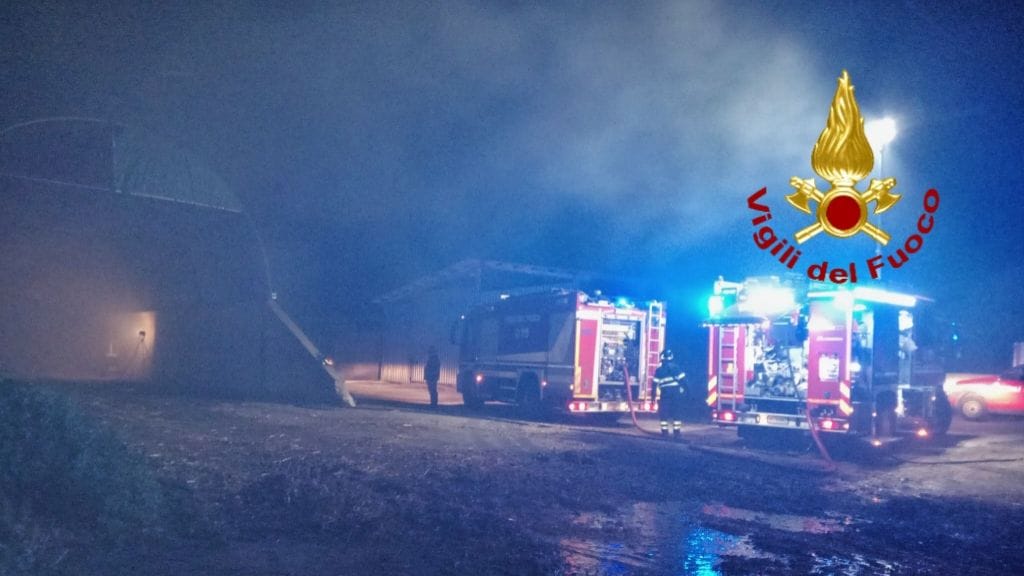 Azienda agricola in fiamme: in azione i Vigili del fuoco