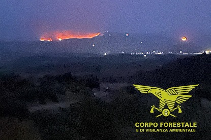 Vasto incendio a Guasila: sul posto il canadair proveniente da Olbia
