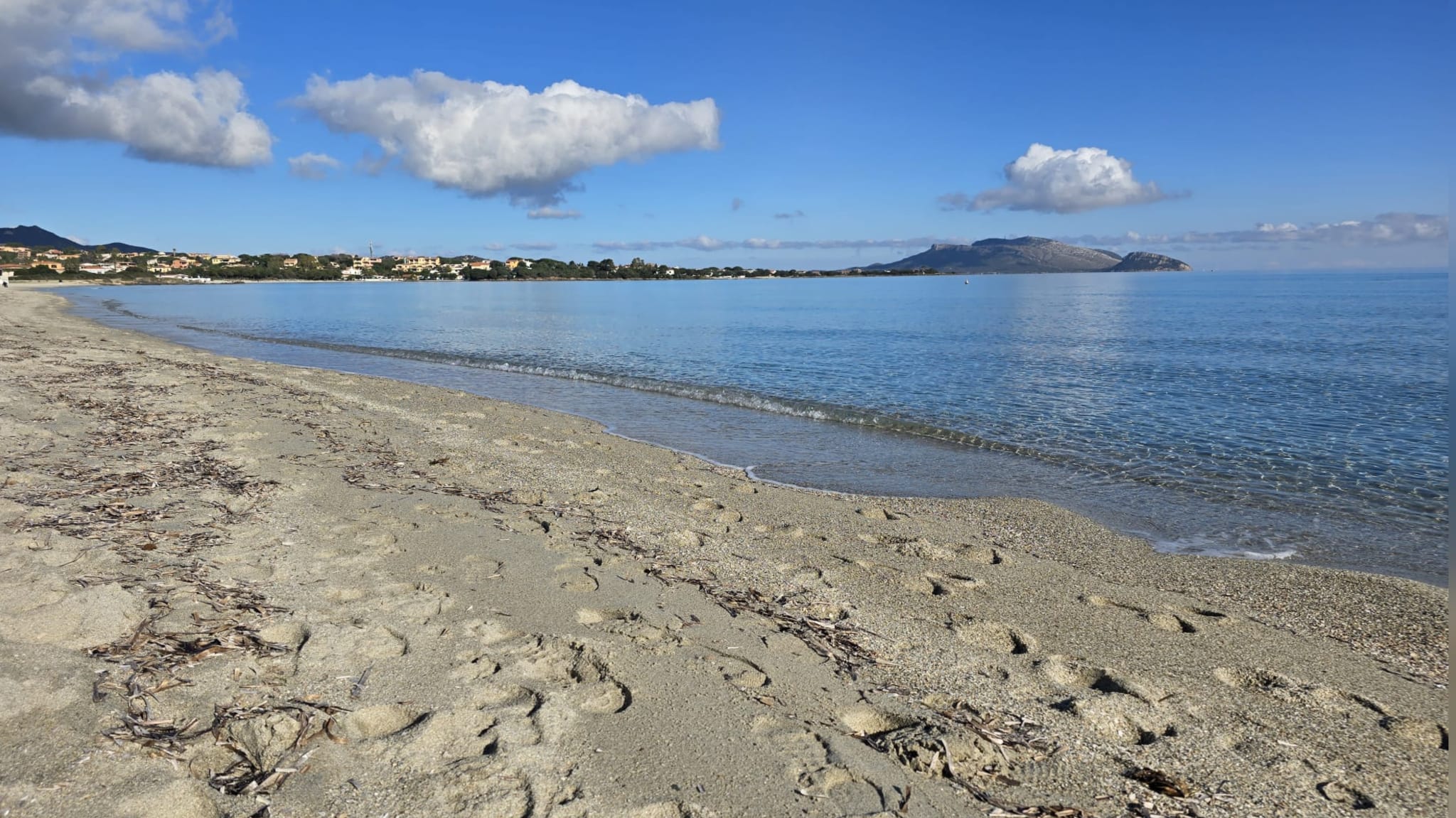 Olbia, Pittulongu a dicembre