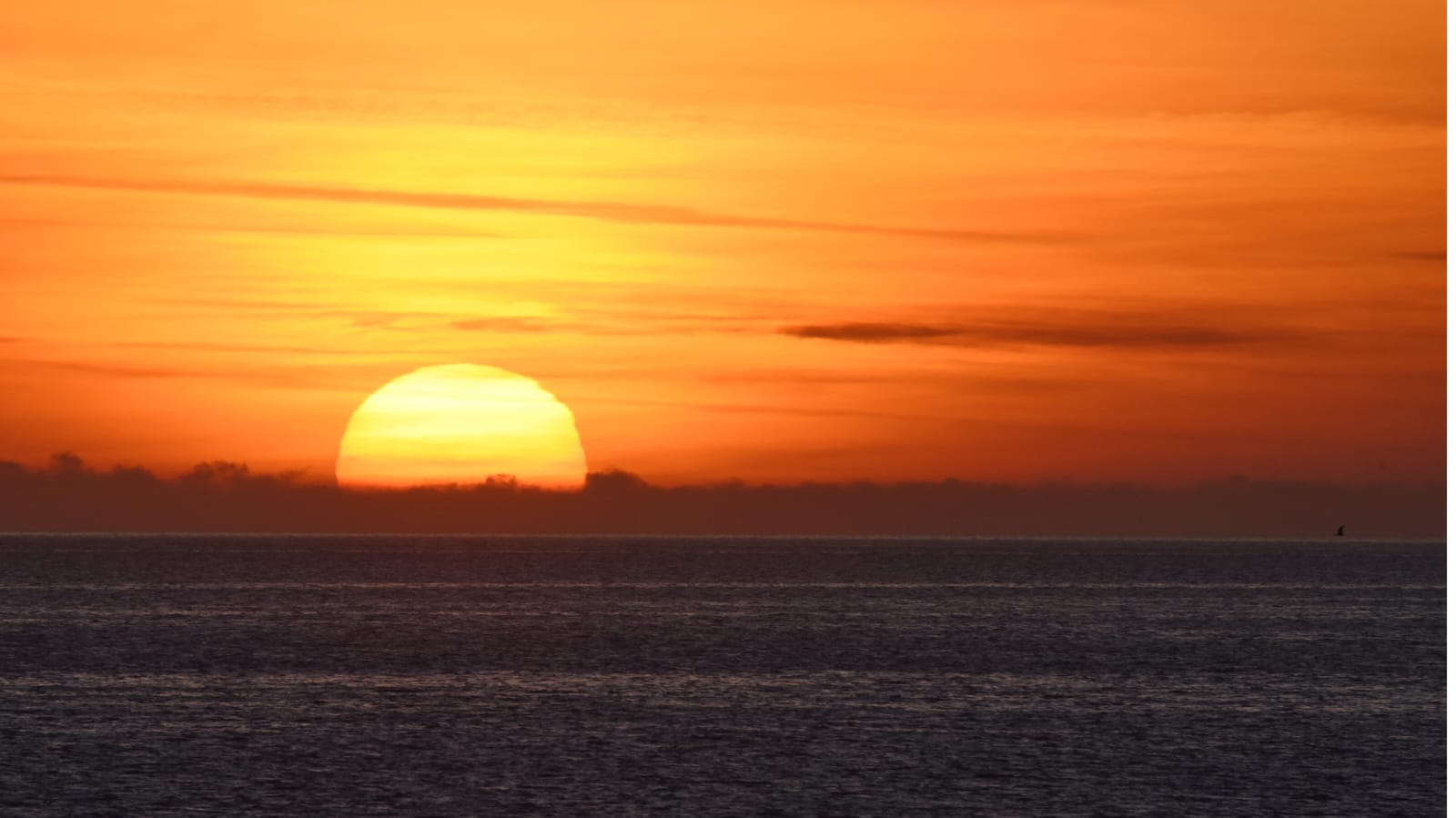 Golfo Aranci, l'alba da Cala Spada