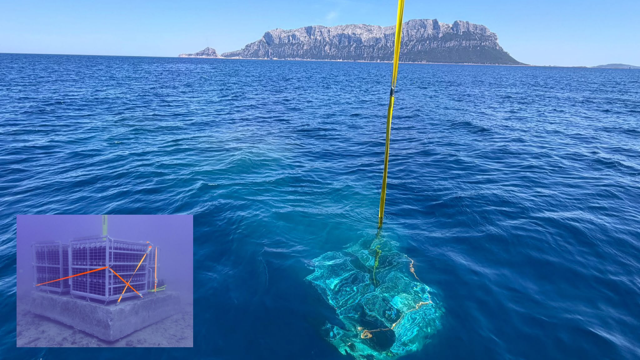 Olbia, “vino sottomarino” sul fondo del mare di Tavolara