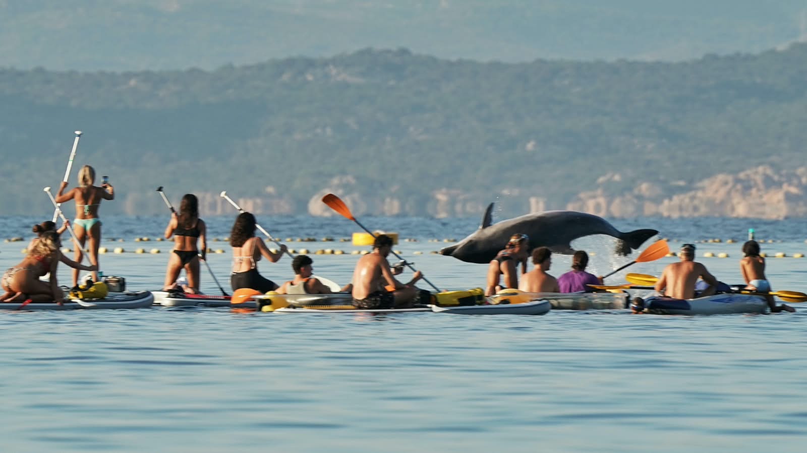 Golfo Aranci, “trova l'intruso”
