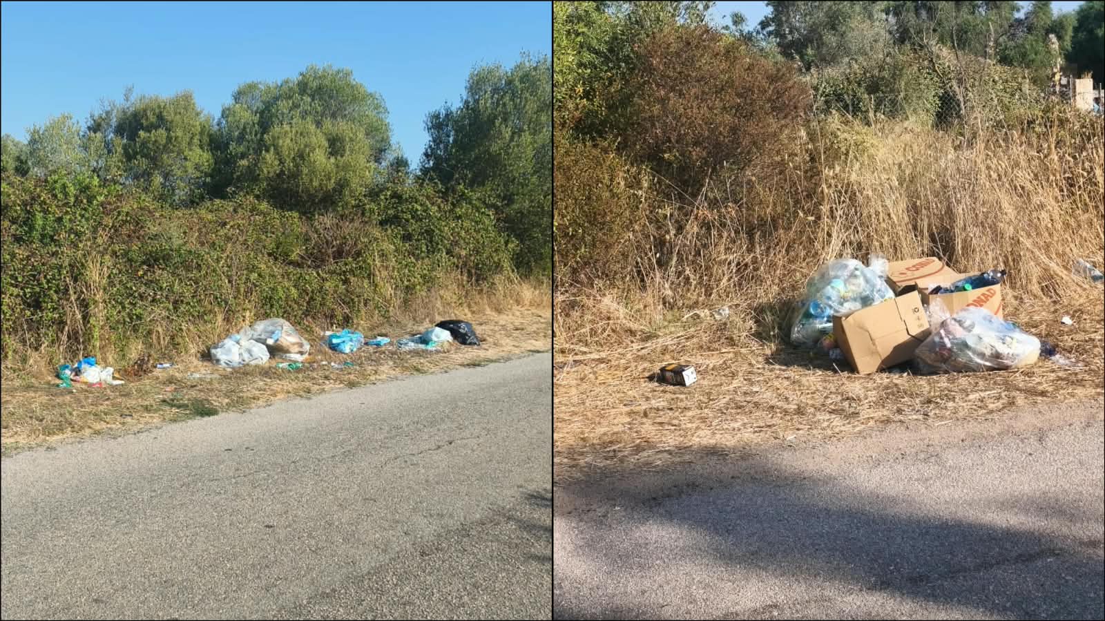 “Rifiuti e degrado in viale Rudalza: tra inciviltà e servizi da migliorare”