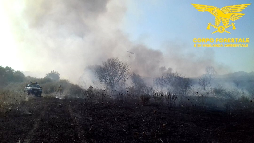 Zappallì, spento l'incendio: in fumo circa dieci ettari