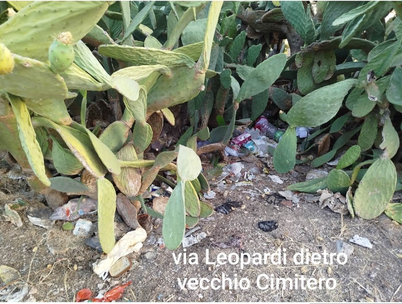 Olbia, Zona Bandinu è una discarica: ci sono quartieri di serie B?